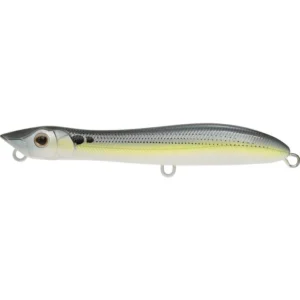 Gizzard Shad