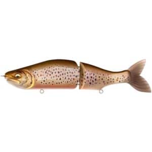 FA BROWN TROUT