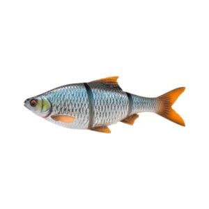 Roach