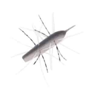 Electric Shad