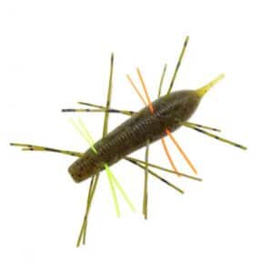 Crazy Bug
