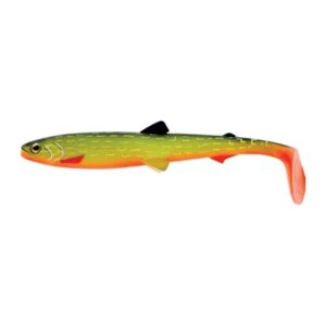Baltic Pike