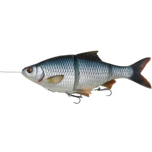 Roach