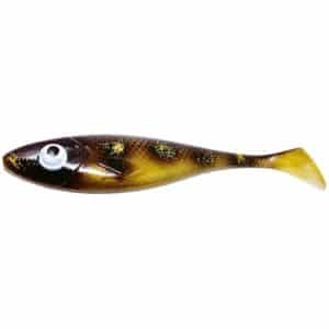 Spotted Bullhead