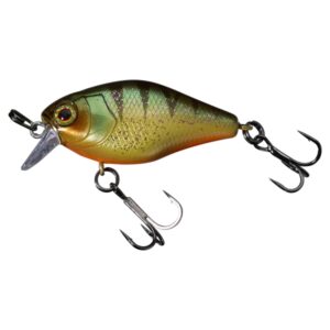 Agressive Perch