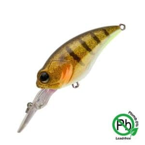 Sparkling Gill