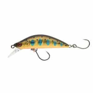 Golden Trout