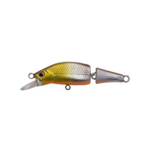 Stream Shad
