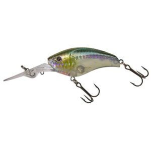 HL Minnow