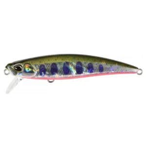 Yamame Red Belly