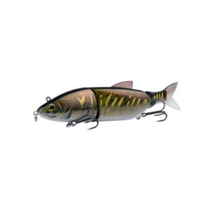 Gold Tiger