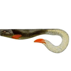 Gold Carp