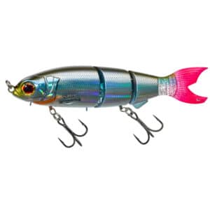 Roach Tendance