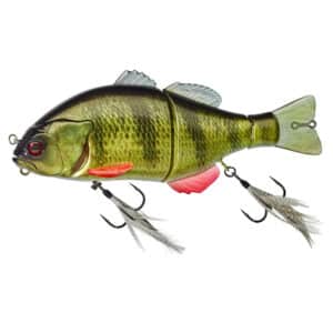 RT Yellow Perch