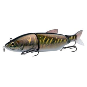 Brown Gold Tiger