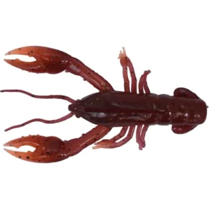 MAGMA CRAW