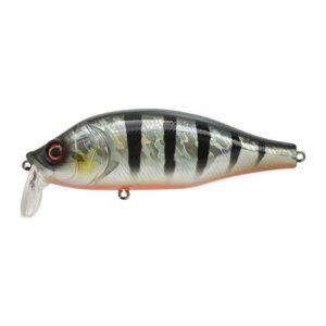 Red Fin Perch
